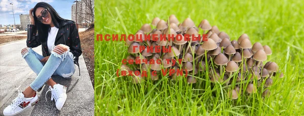 бошки Богородицк