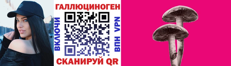 Псилоцибиновые грибы Magic Shrooms  Волгореченск 